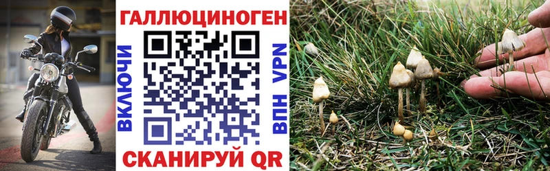 Псилоцибиновые грибы MAGIC MUSHROOMS Тарко-Сале